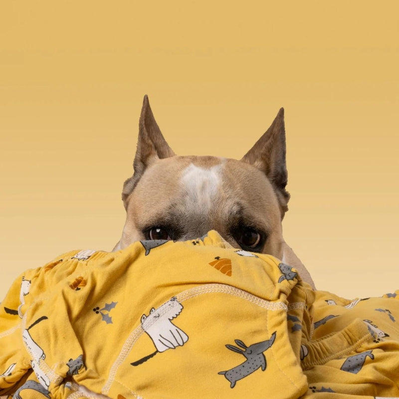 Goodielicious ™ - Snugglers: De ultieme trainingsluiers voor een soepele zindelijkheidstraining!