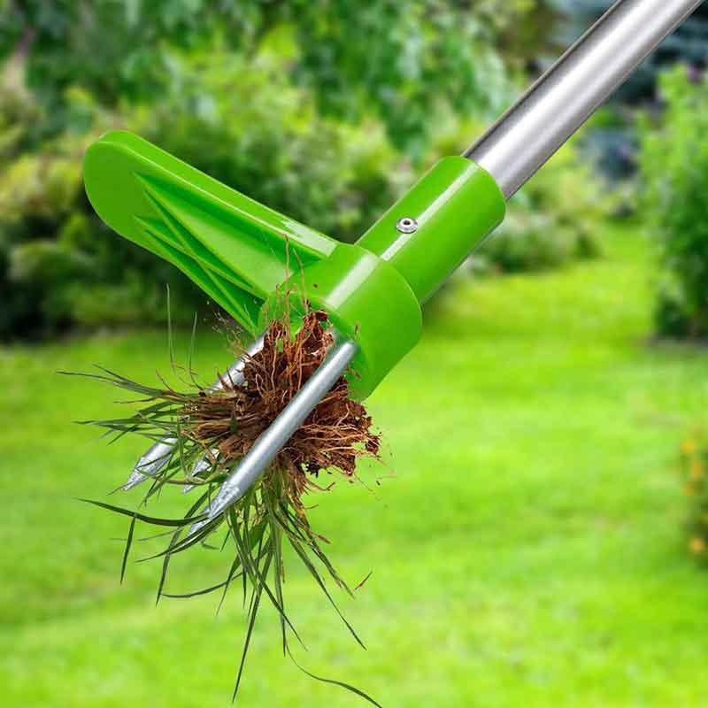 Goodielicious™ - RootKiller: Gemakkelijke Wortel Verwijderaar